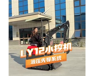 LY12小挖机使用视频